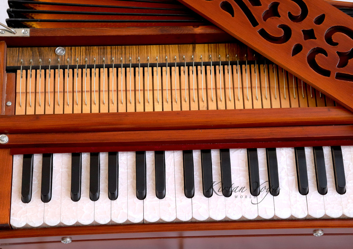 Harmonium Raga Standard classic
