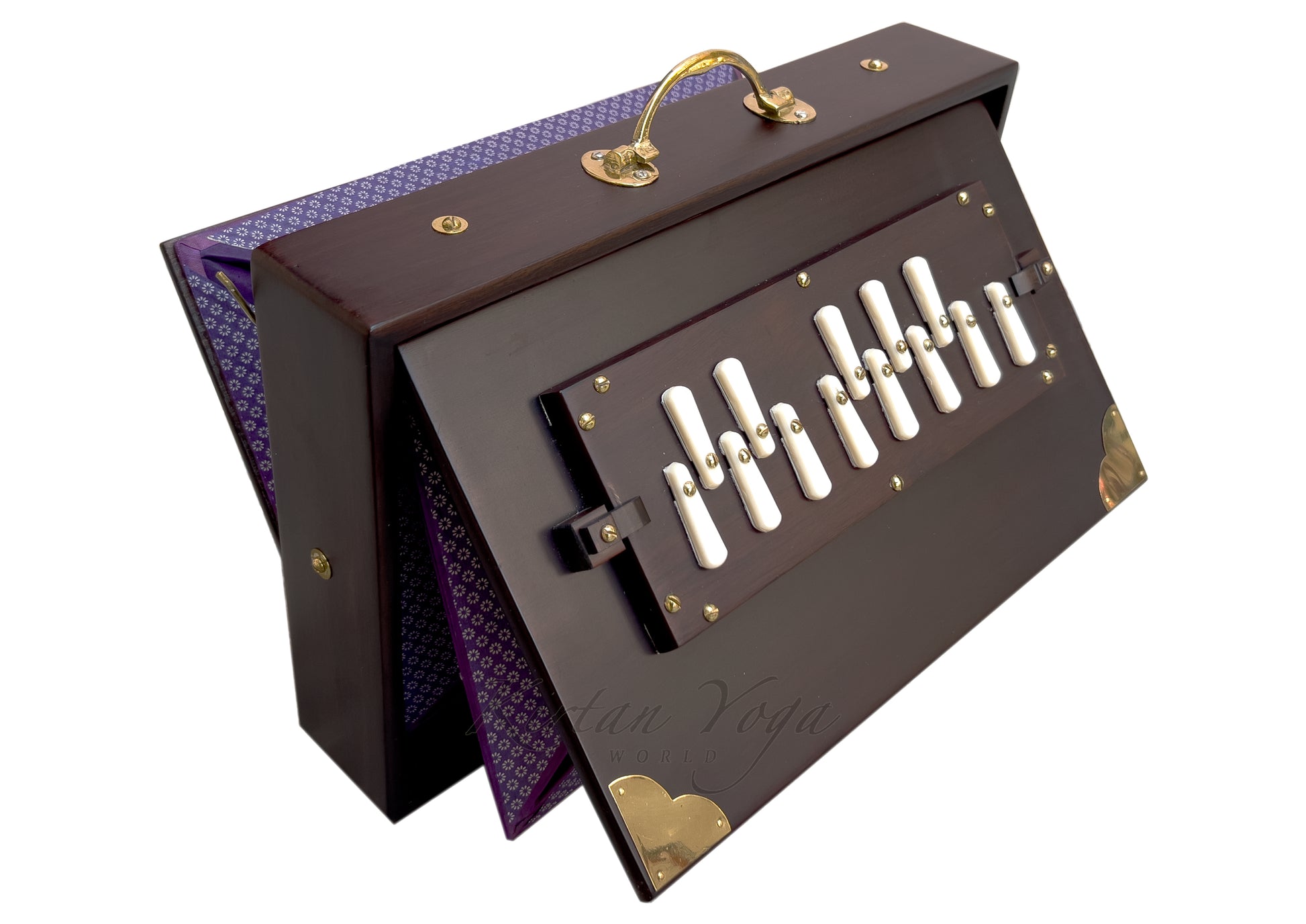 Shruti Box Raga S1