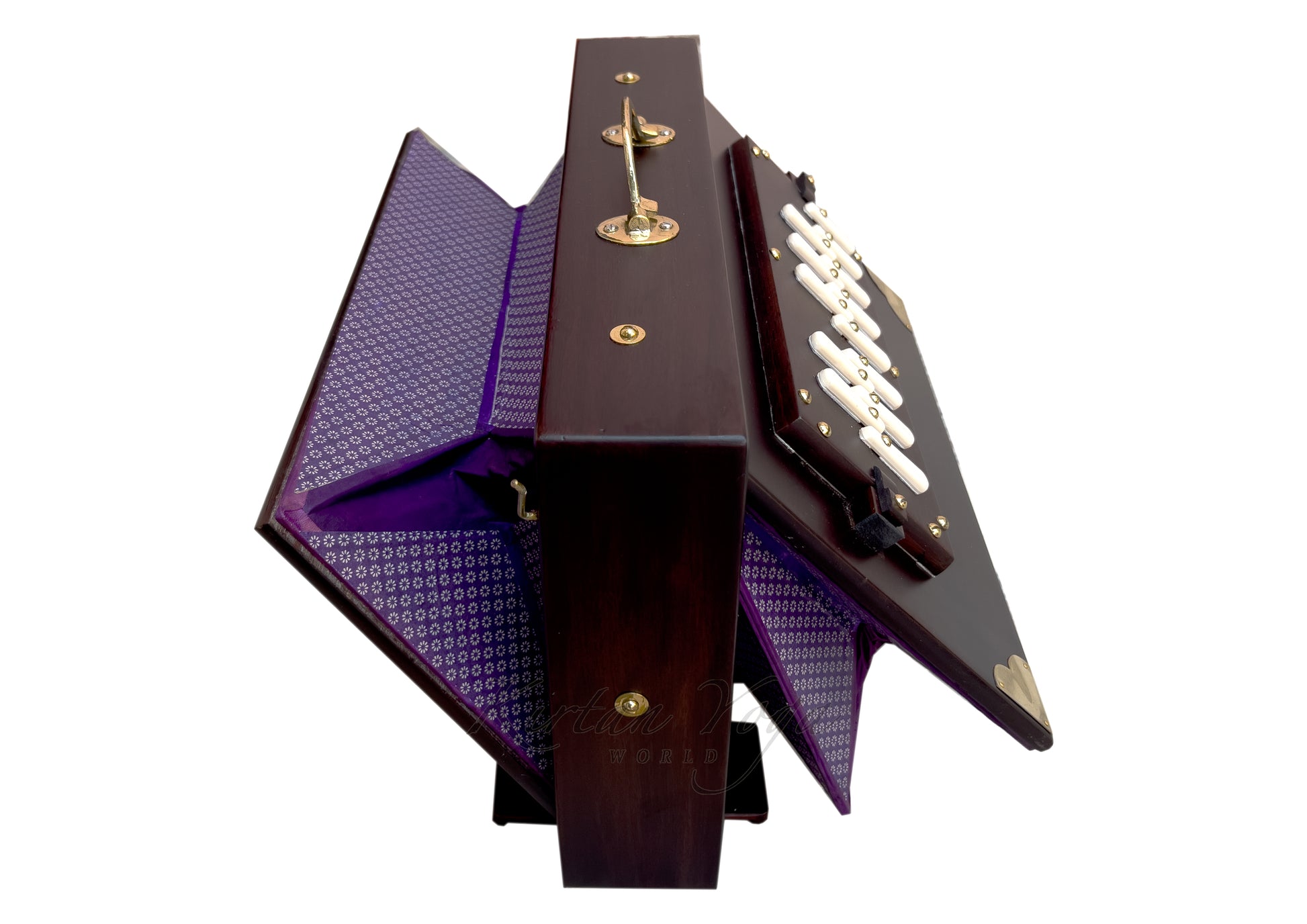 Shruti Box Raga S1