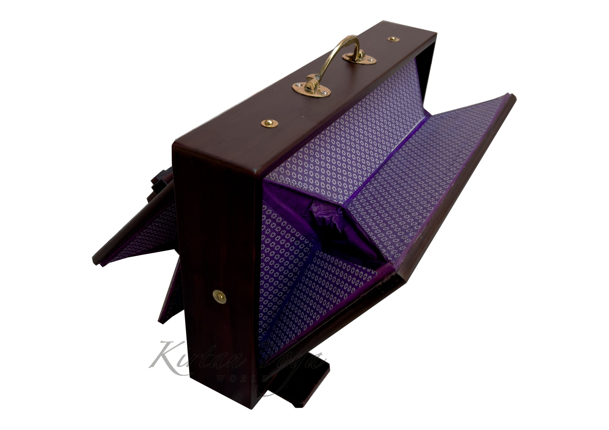 Shruti Box Raga S1